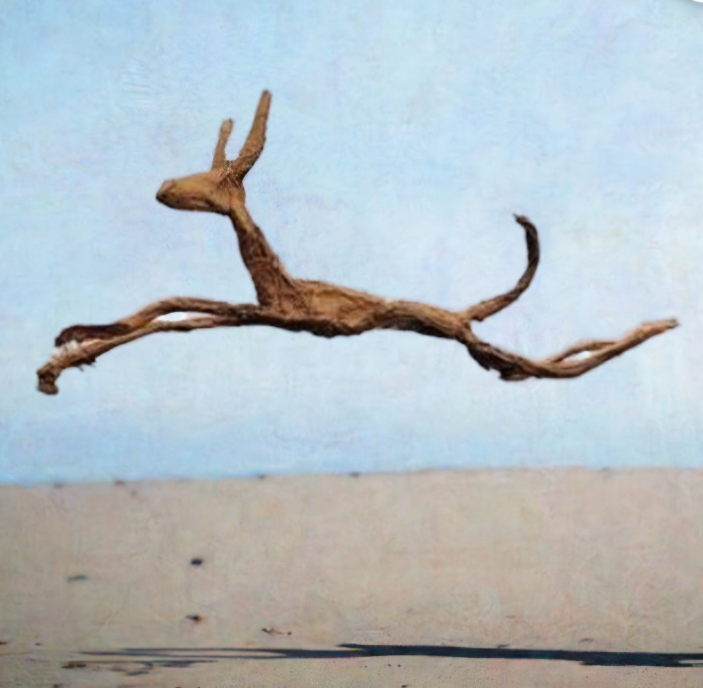 Flying Podenco