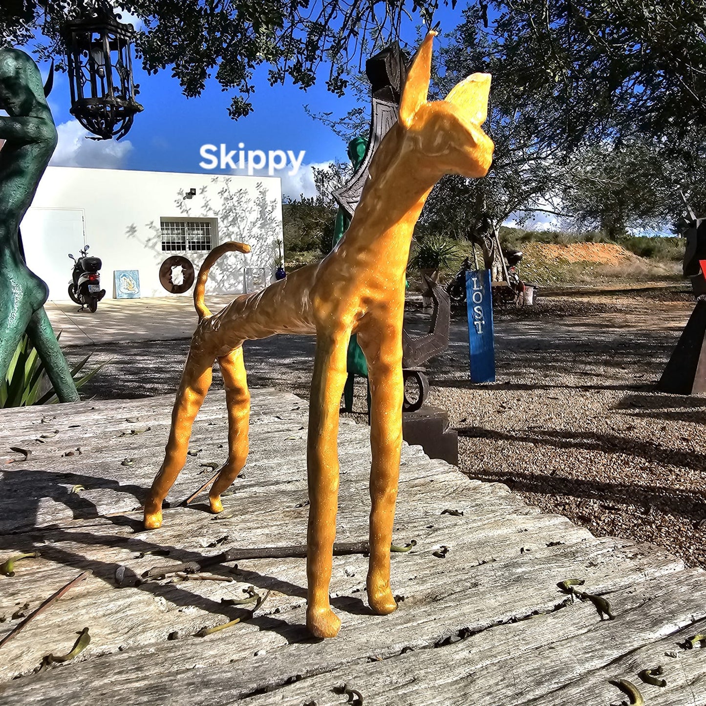 Skippy